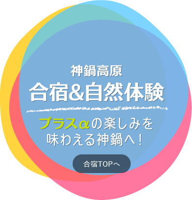 合宿 アクティビティ 日高神鍋観光協会 公式サイト