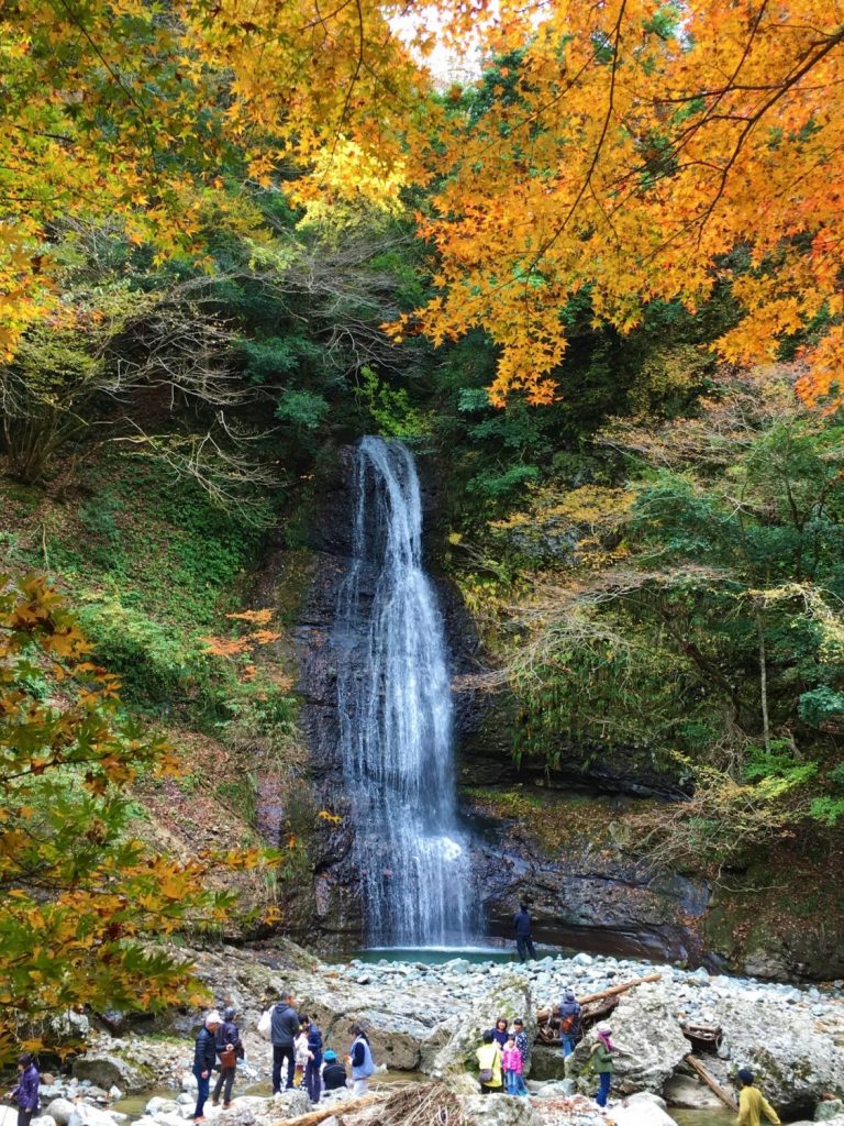 終了 ❘ 11/11(日)》第42回阿瀬渓谷紅葉まつり＆紅葉ウォーク